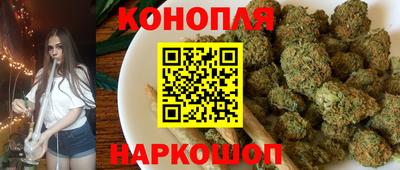 прущие грибы Новодвинск