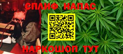 прущие грибы Новодвинск