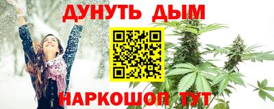 бошки Новозыбков