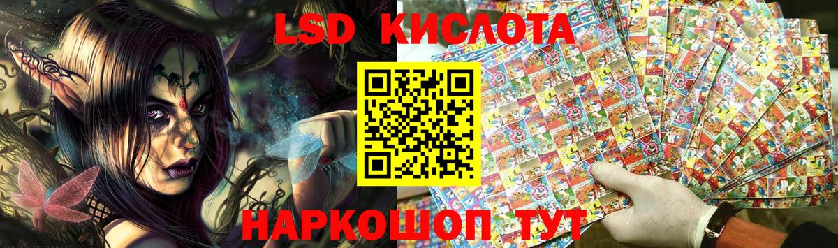 МЕФ Сосновый Бор