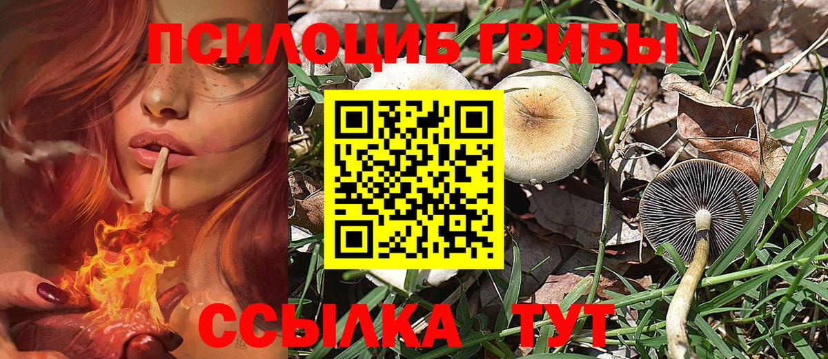 Псилоцибиновые грибы Magic Shrooms  Галлюциногенные грибы мицелий  купить наркоту  Сосновый Бор  Вход с VPN 