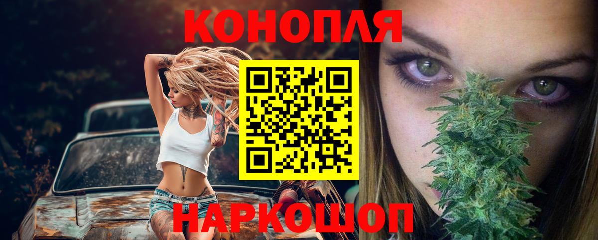 МАРИХУАНА семена Сосновый Бор
